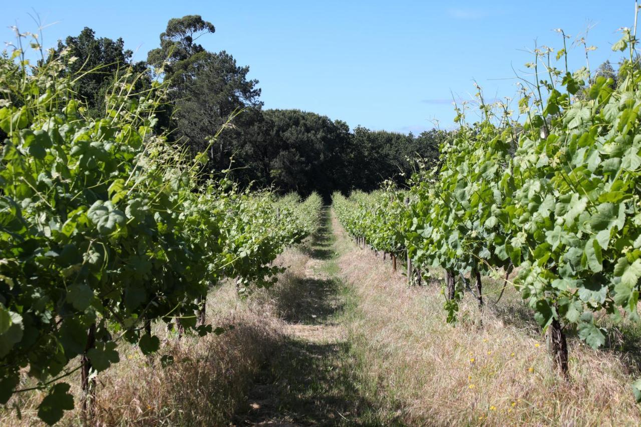 Quinta De Chousas - Braga - Agroturismo Buitenkant foto