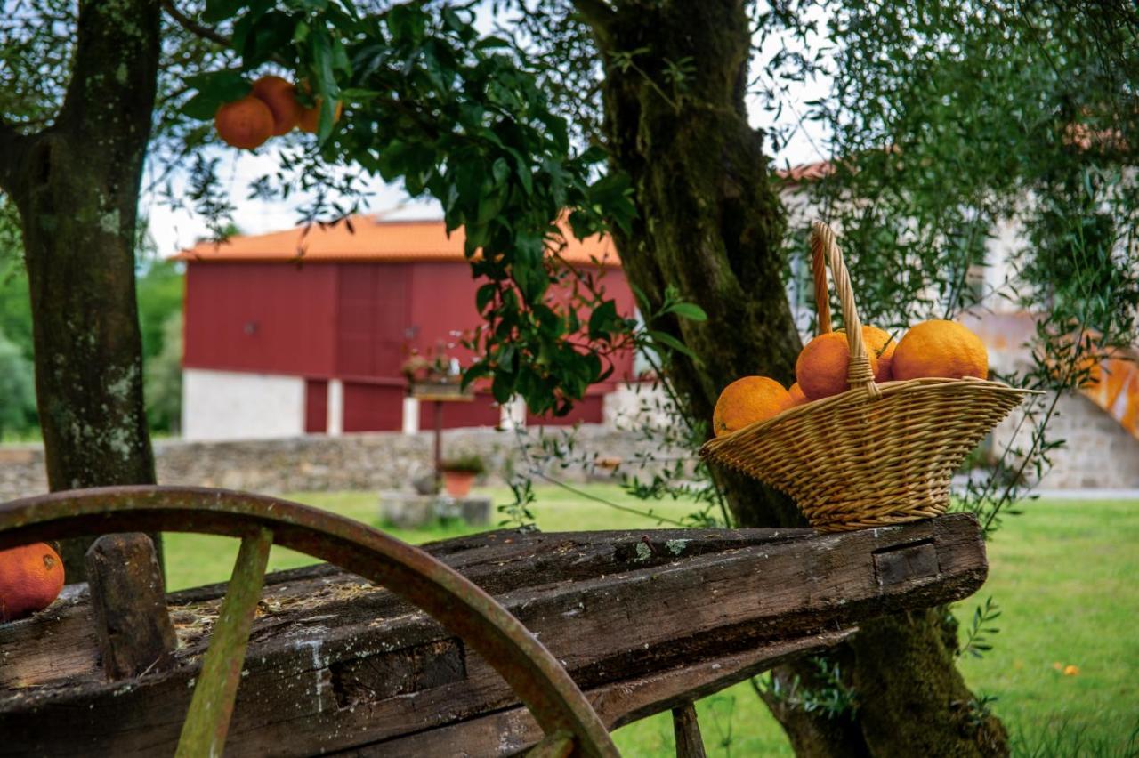 Quinta De Chousas - Braga - Agroturismo Buitenkant foto
